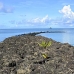 resort_pacific_palau_v_0115_pal1183.jpg